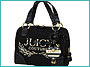 A Handbag for My Honeymoon